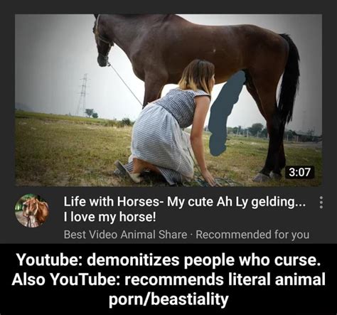 Horse Zoophilia Porn Videos